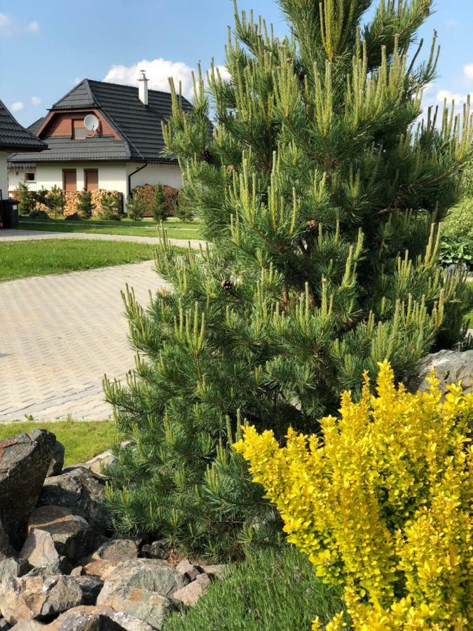 Villa Detvan Stara Lesna Bagian luar foto